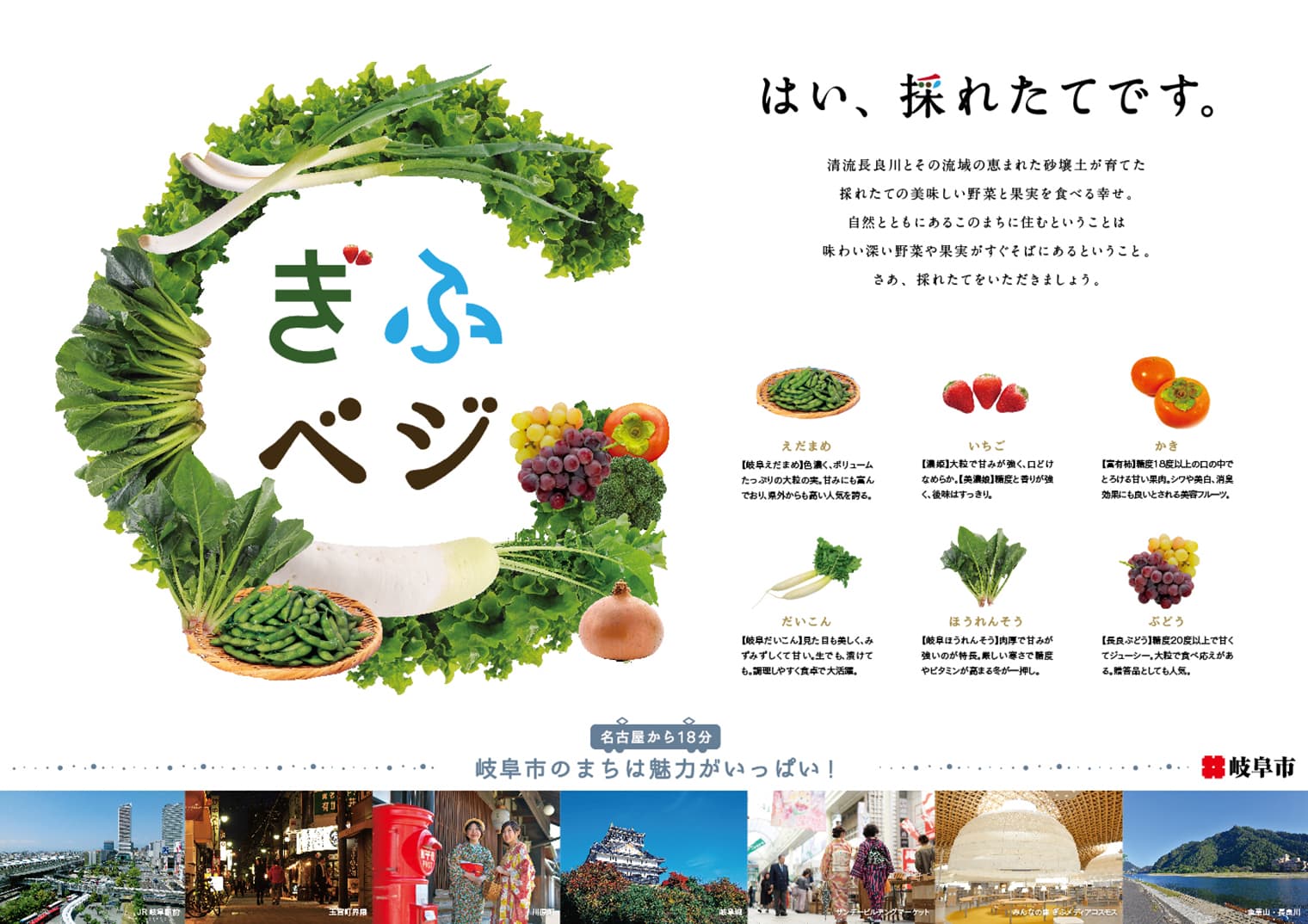 ぎふベジ ロゴデザイン・ポスターデザイン