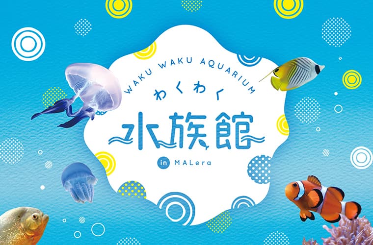 モレラ岐阜わくわく水族館 ブランディングデザイン・ロゴデザインVI