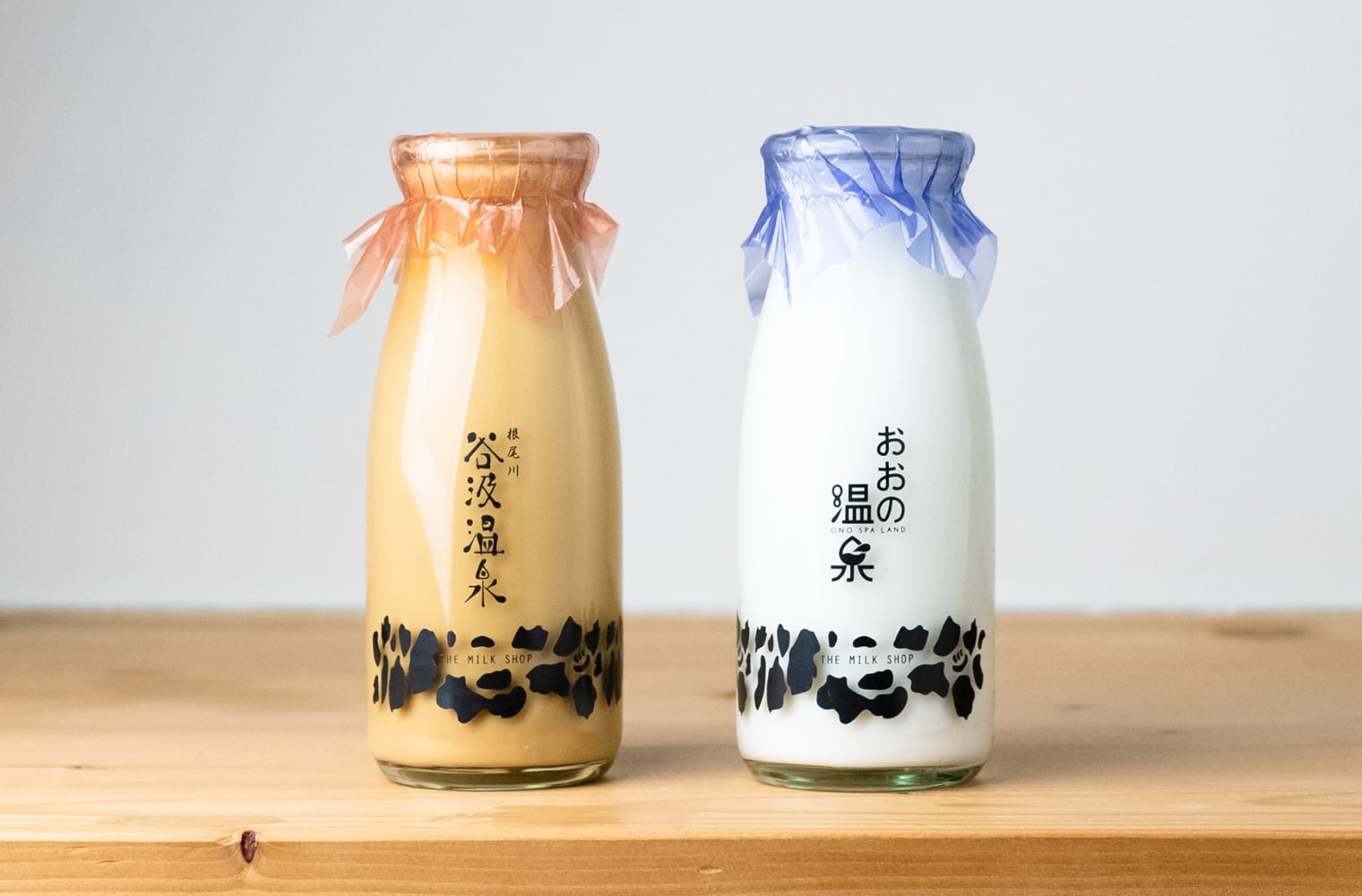 おおの温泉 ブランディング・ロゴデザイン・Webデザイン・サインデザイン・パンフレットデザイン