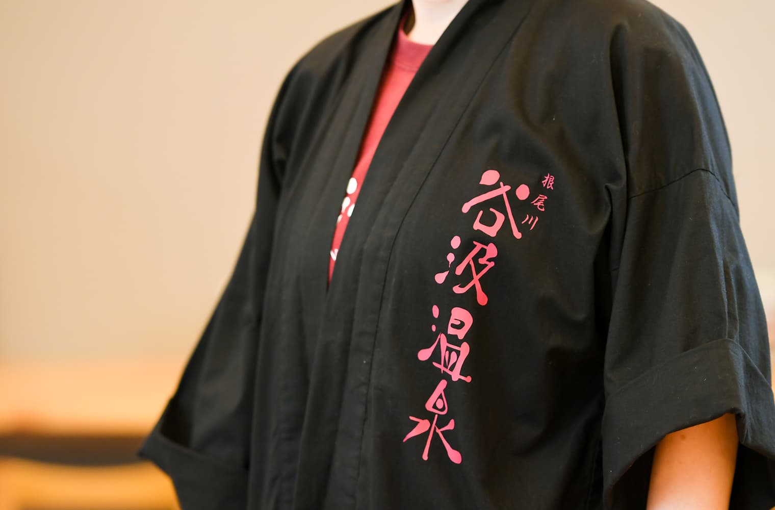 谷汲温泉 ブランディング・ロゴデザイン・Webデザイン・サインデザイン・パンフレットデザイン