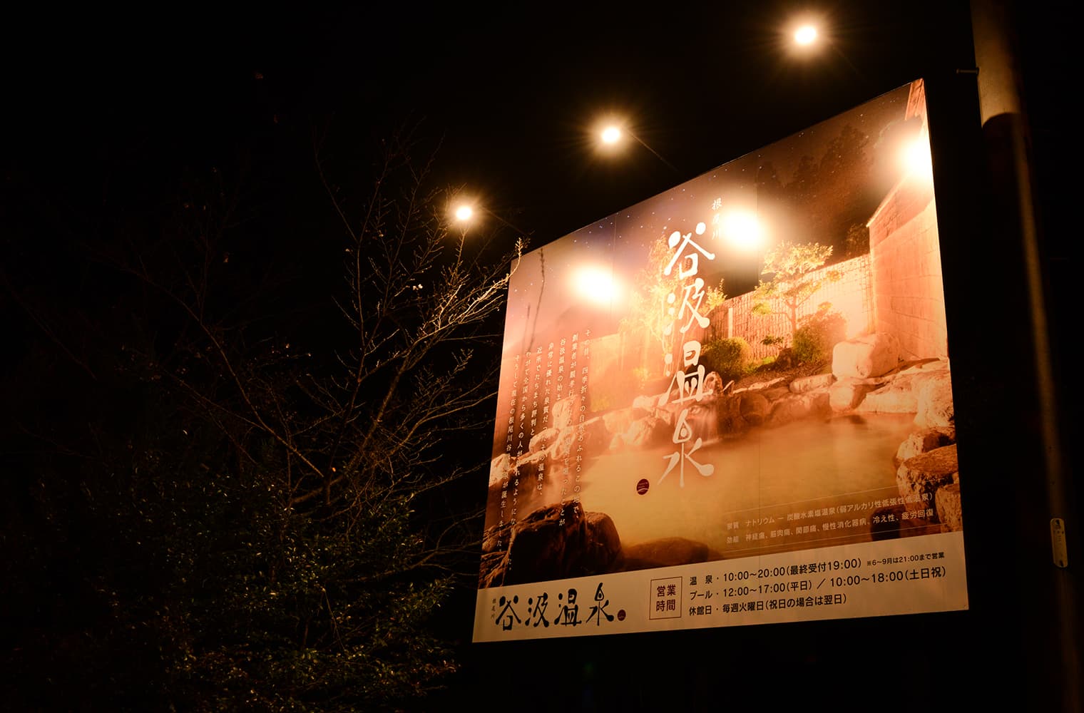 谷汲温泉 ブランディング・ロゴデザイン・Webデザイン・サインデザイン・パンフレットデザイン