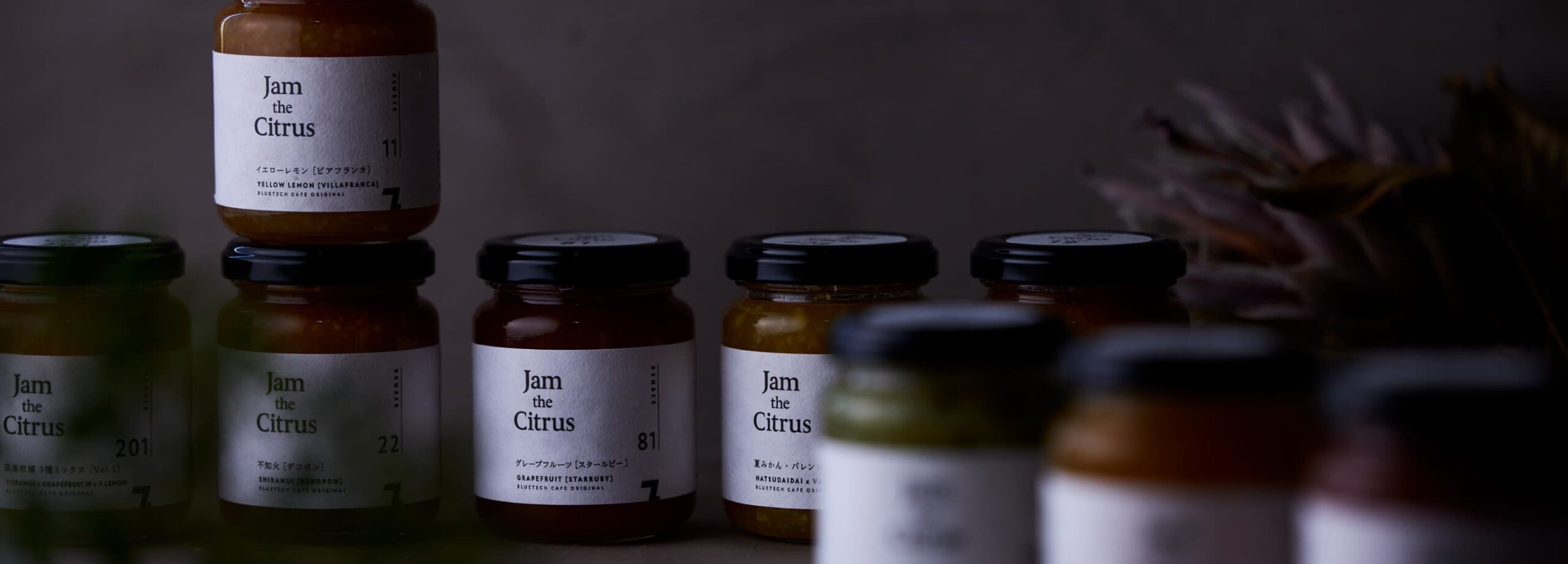 Jam the Citrus ブランディング ロゴデザイン